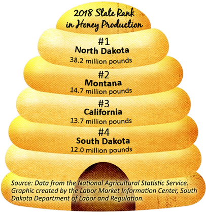 Infographic of state rank in honey production 2018. South Dakota was #4 at 12.0 million pounds.