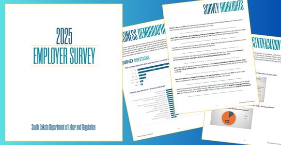 2025 Employer Survey Report